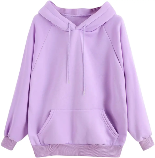 Bulk Manufacturing Customized 320-500gsm Women's Blank Designer Pullover Fleece Hoodies - Image 2